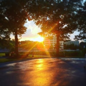 Meet your Posher, Bella